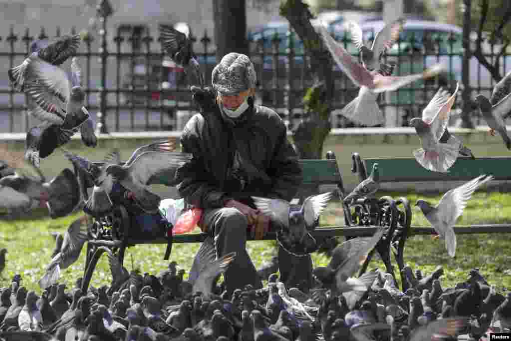 A man rests on a bench after feeding pigeons in Bucharest. (Reuters/Octav Ganea) 