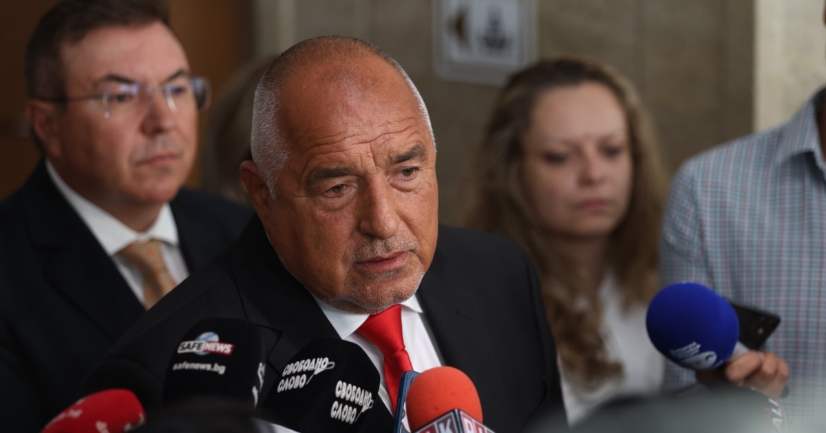 Президентът Румен Радев се държи като партиен лидер и се