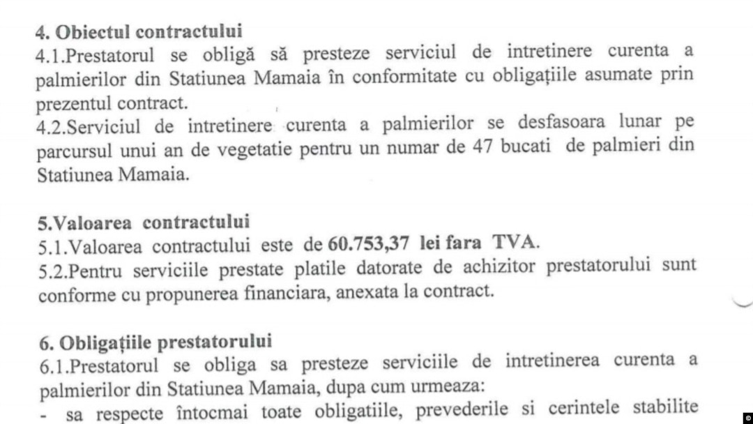 Contractul pentru întreținerea a 47 de palmieri, contract onorat cu 60.000 de lei