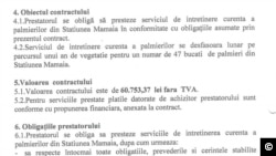 Contractul pentru întreținerea a 47 de palmieri, contract onorat cu 60.000 de lei