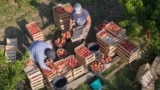Иллюстрационное фото
