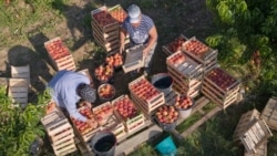 Иллюстрационное фото