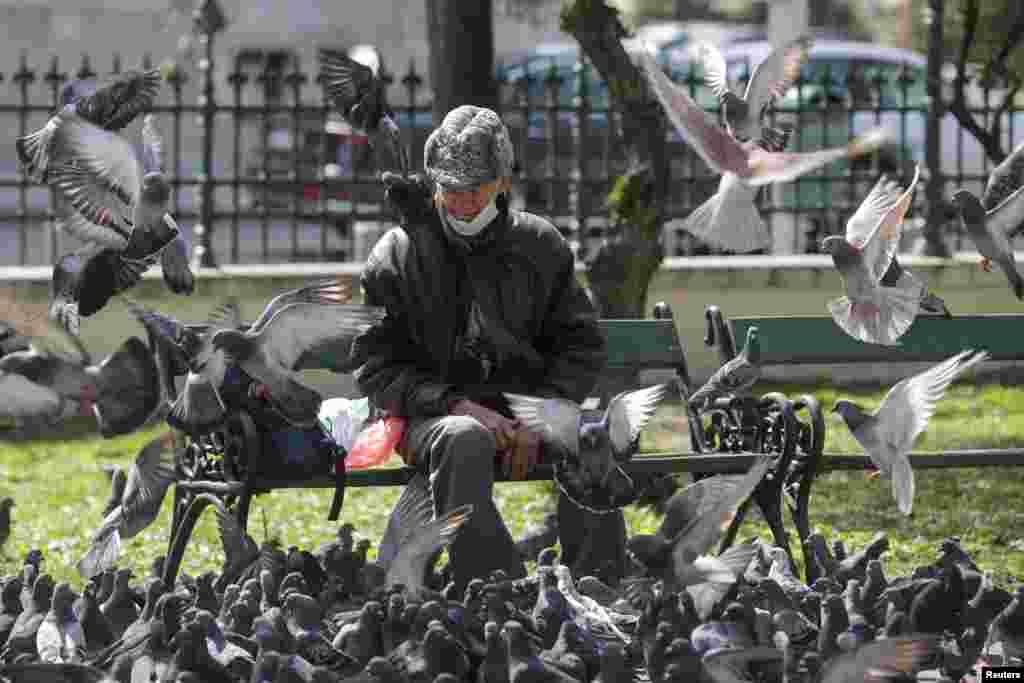 A man rests on a bench after feeding pigeons in Bucharest. (Reuters/Octav Ganea)&nbsp;