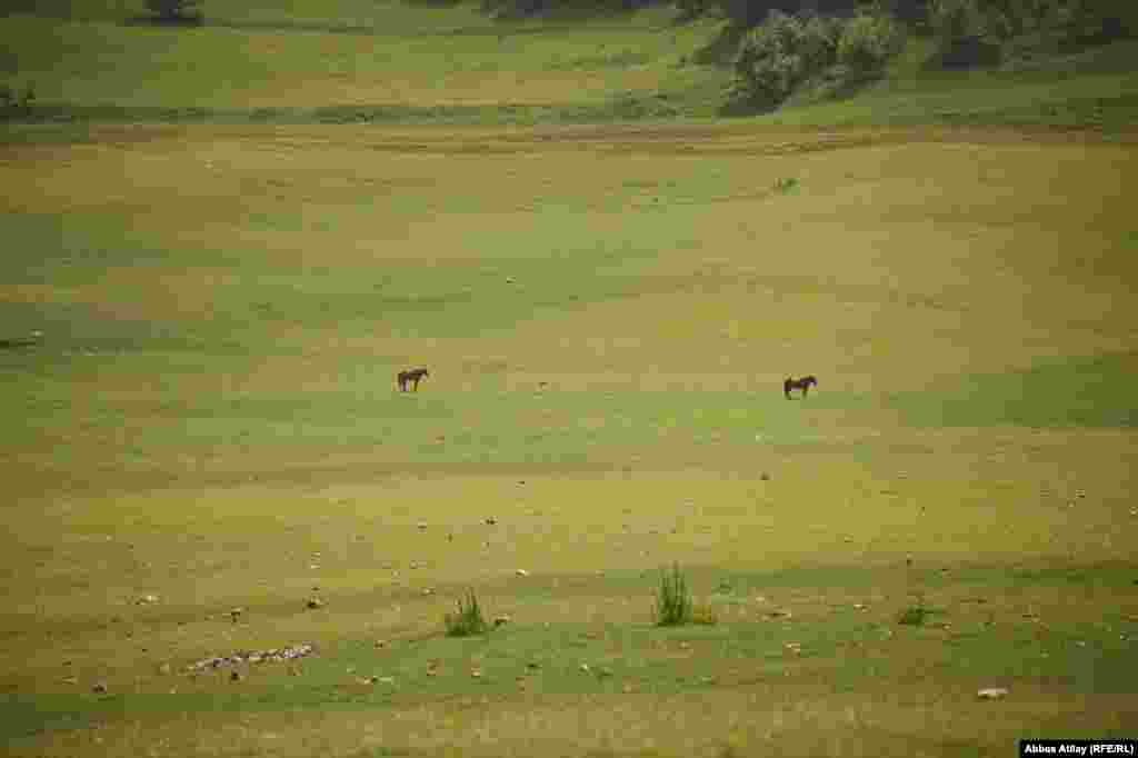 Bu fotodakı mənzərə iki il əvvəl belə idi: