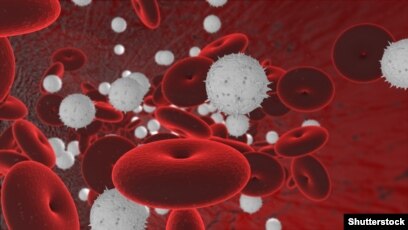 Жапон әйелі стақандағы сперматозоидты ішеді.