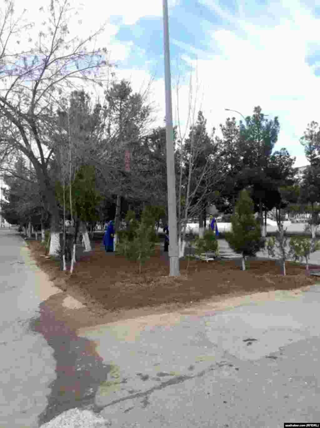 Baglara ideg edilýär, Aşgabat&nbsp;