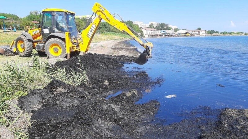 Возле керченского пляжа в море стекает канализация (видео) 