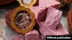 Barry Callebaut компаниясынын рубин түстүү шоколады