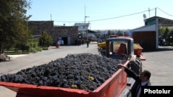 Armenia -- Farmers deliver grapes to a storage facility in the Ararat Valley.