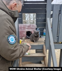 Lionel De Lange feeds a cat that had been dumped at a roadside playground in the Kherson region.