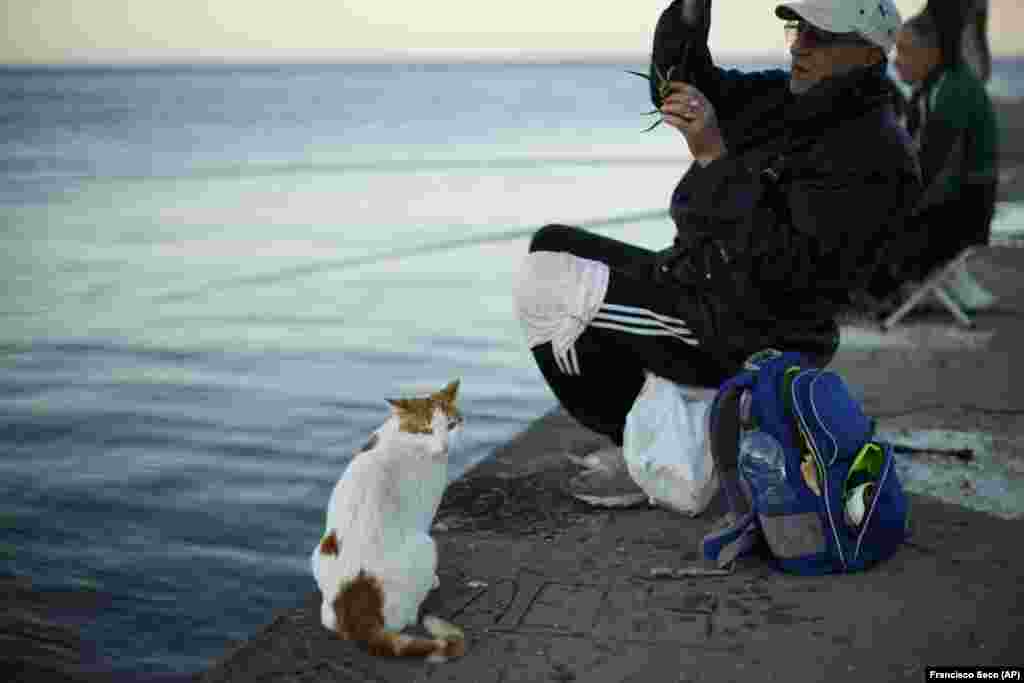 A man grabs a crab caught in the Black Sea.