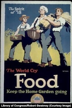 Ось завдяки таким плакатам, що закликають вирощувати та консервувати городину й садовину, у Штатах народилася в роки Першої світової війни ідея «грядок перемоги». Автор J. Paul Verrees