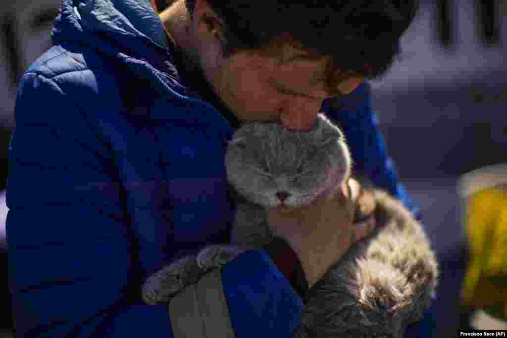 Ivan Andrejev öleli magához Leonardót, a macskáját, miután megérkezett Mariupolból a zaporizzsjai menekültközpontba