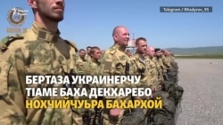 Бертаза Украинерчу тIаме баха декхаребо Нохчийчуьра бахархой