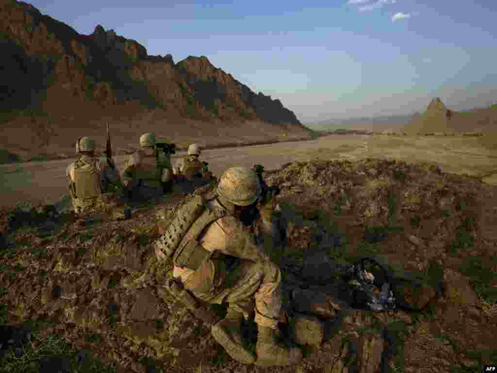 Afganistan - Američki marinci - Povjerljivi izvještaji navodno tvrde da NATO može izgubiti rat u Afganistanu ako ne stignu nove trupe.