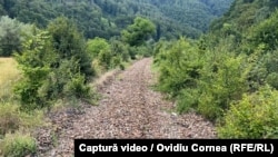 Pe 38 de km din cei 53 km ai lotului Poieni-Aleșd șinele de cale ferată au fost demontate. În loc a rămas, deocamdată, doar piatra care le susținea.