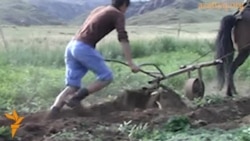 Соқамен жер жырту