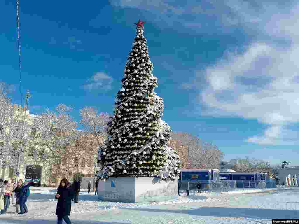 Новогодняя ель в Севастополе. Крым, 1 января 2026 год