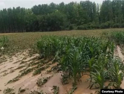 Тікелей эфирге арналған эротикалық ойындар Сексуалды қайырлы таң суреттері