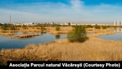 Parcul natural Văcărești, locul unde Ceaușescu voia să facă un lac adânc de 10 metri, cu o arie de 150 de hectare.