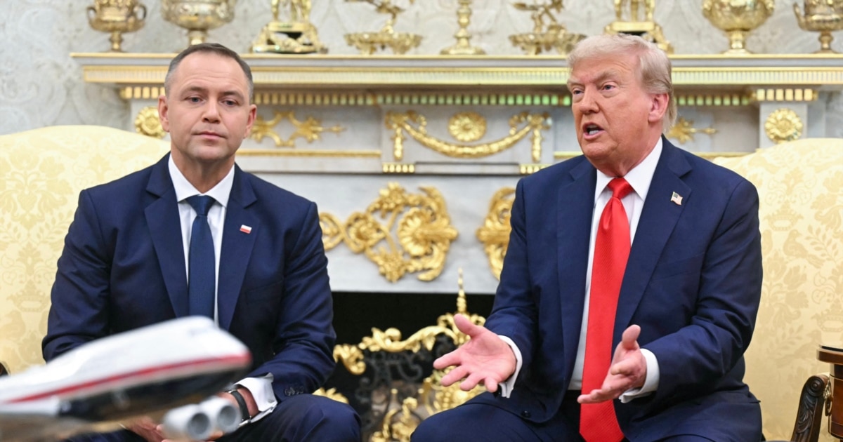 Trump Tells Nawrocki US Ready To Bolster Forces In Poland, With Eye On Russia