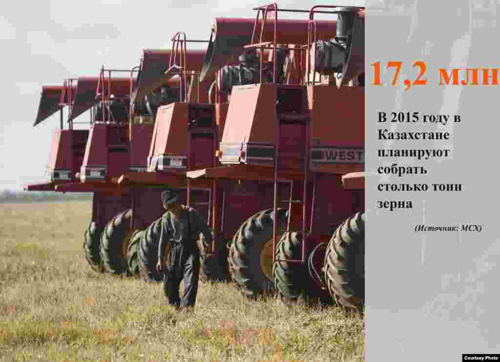 План по сбору зерновых в этом году в Казахстане.
