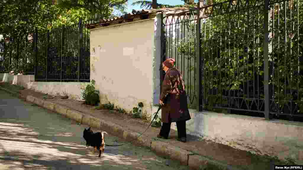 Прогулка с собакой &ndash; это не только необходимость, но и законный способ выхода из дома