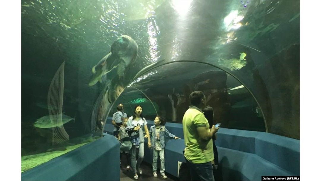 Лесби секс порно HD