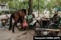 Un bărbat își păzește calul în timpul bombardării din Severodonețk, 18 mai 2022.