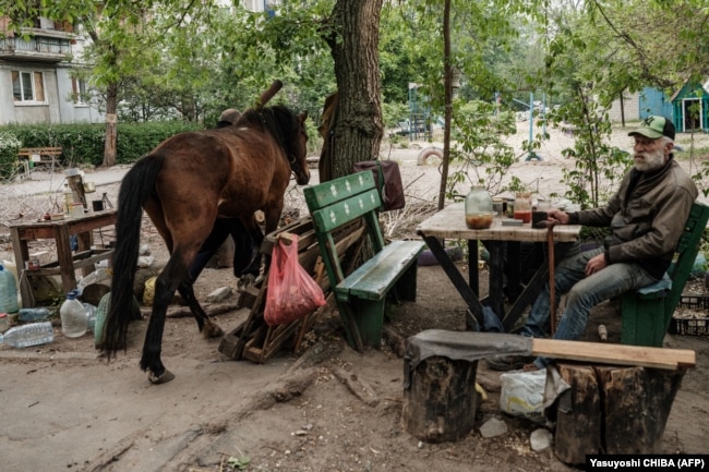 A man sits next to his horse during mortar shelling in Syevyerodonetsk on May 18.