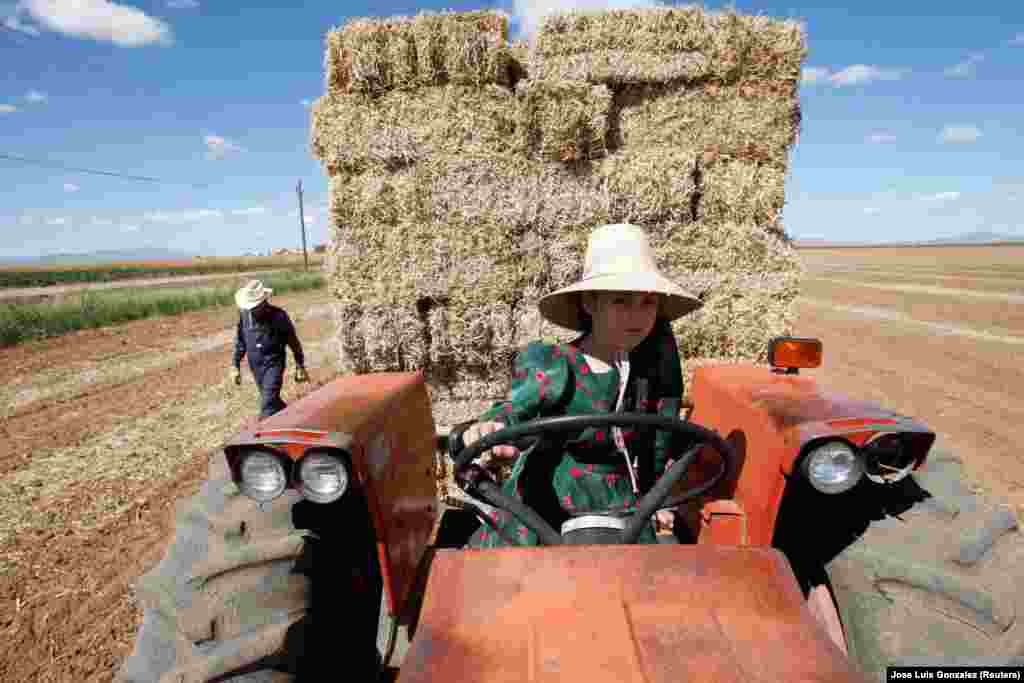Nem ritka, hogy 10 évnél fiatalabb gyermeket látunk traktort vagy lovaskocsit vezetni a fehér, poros utakon