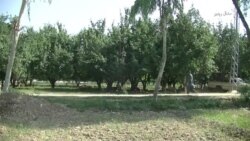 د شوقدر او مومندو خورماڼۍ ډېر نوم لري