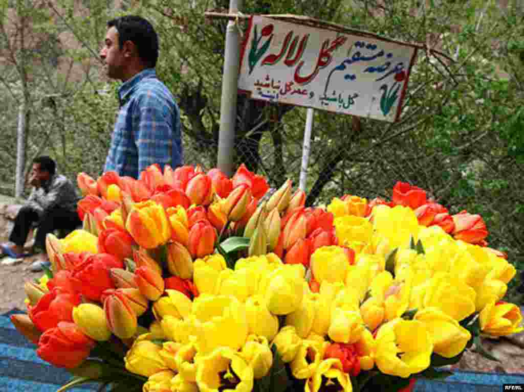 Noruz #5