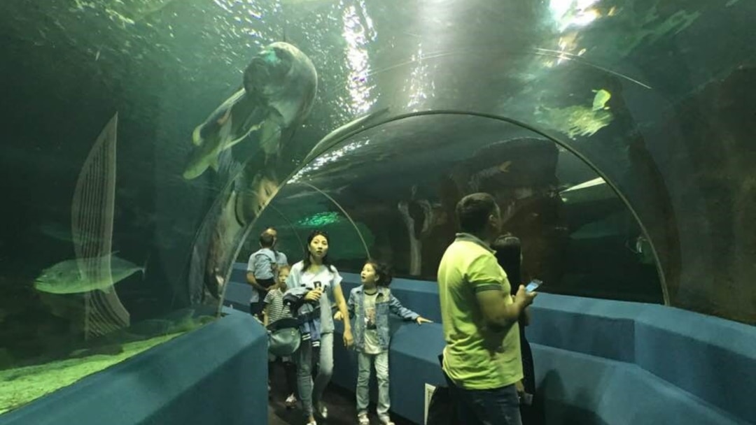 Бір-бірінің аузындағы қыздардың порно видеосы Брюнеткамен порно