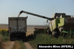 Fermierii români sunt în plină campanie de recoltate a grâului.