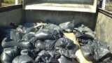 Преди три години кметът на старозагорското село Калояновец откри десетки трупове на животни, заповени в земята близо до инсинератора на една фирмите, работещи по договор с БАБХ