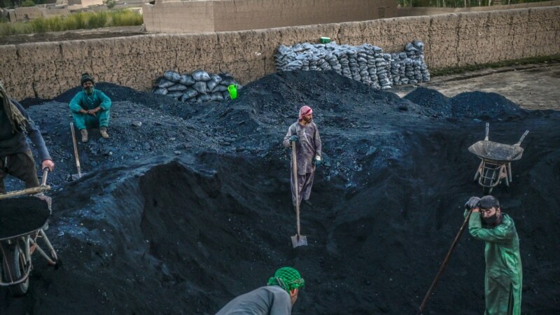 شهباز شریف: با واردات زغال سنگ از افغانستان سالانه دو میلیارد دالر صرفه جویی می‌شود