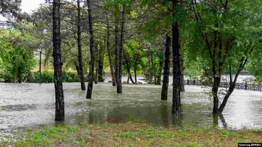 Вода підтопила частину парку імені Гагаріна поблизу злиття Малого Салгира і Салгира