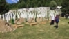 Coffins with the remains of 50 victims of the Srebrenica genocide who were recently identified were buried on July 11.