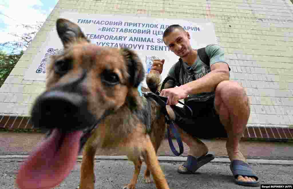 Voluntarul Dmytro Popov, un botanist în vârstă de 28 de ani, lângă un câine, în afara unui adăpost temporar pentru animale, după o plimbare într-un parc din împrejurimi, în capitala ucraineană Kiev. Câinii și pisicile din adăpost au fost răniți, și-au pierdut stăpânii și casele după ce orașele și satele ucrainene au fost lovite de bombardamentele rusești. Unii, au fost norocoși, primind șansa unei noi vieți după ce au fost aduși în adăposturi speciale, unde sunt hrăniți și își găsesc noi stăpâni.&nbsp; Fotografie din 9 iunie 2022.