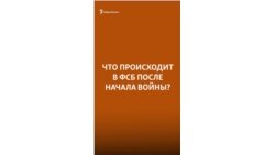 "Невозможно говорить о том, что кто-то влияет на президента" | Бороган 
