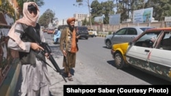 افراد طالبان در روی یک جاده در ولایت هرات 
