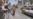 طالبان در هرات تلاشی خانه به خانه را آغاز کرده اند
