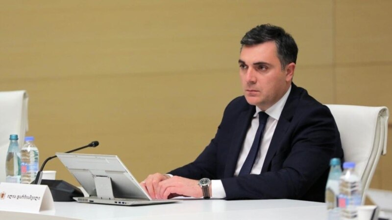 Глава МИД Грузии пообещал «скорые ощутимые результаты» в отношениях с ЕС