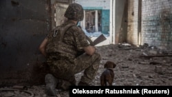 A háború kutyái: ukrán katonák és négylábú társaik