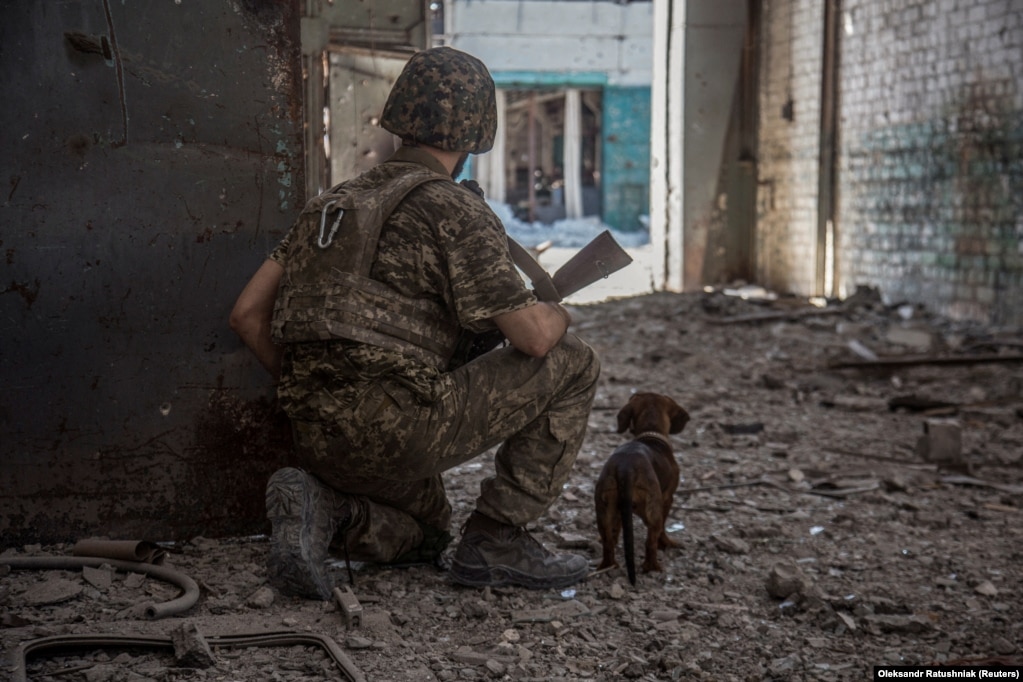 Një ushtar ukrainas, i shoqëruar nga një qen, vëzhgon pozicionet ruse në zonën industriale të qytetit të Severodonjeckut, 20 qershor 2022. &nbsp;