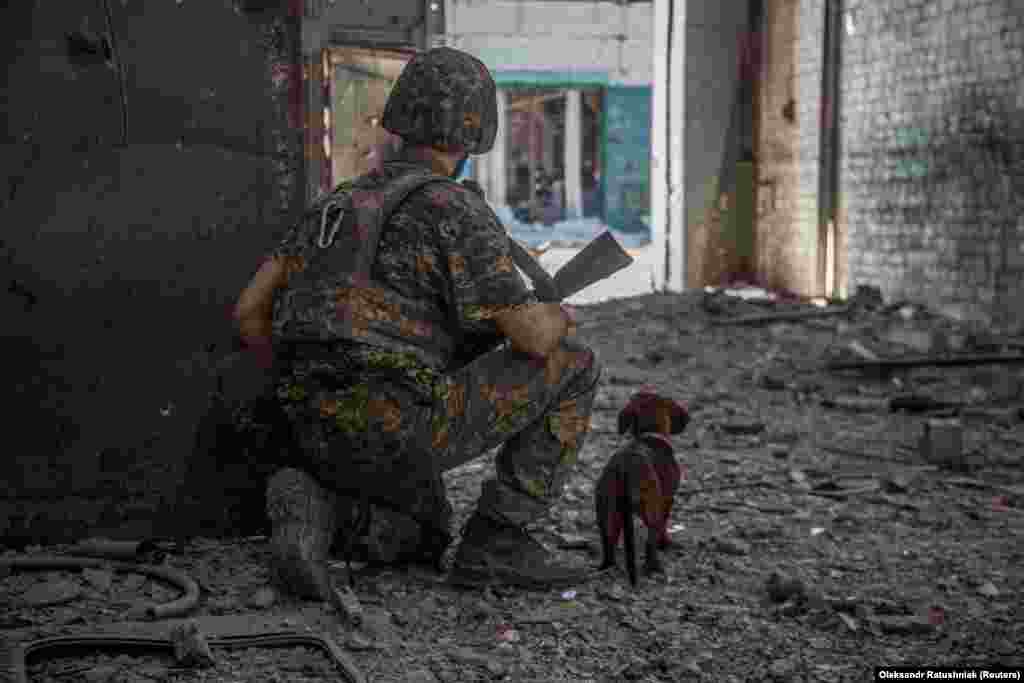 A Ukrainian soldier with a dog keeps watch over a position in Syevyerodonetsk. Earlier this month, Ukrainian President Volodymyr Zelenskiy described the battle for the eastern city as &ldquo;one of the most difficult&rdquo; of the war, while highlighting its importance in the key Donbas region. He added,&nbsp;&quot;In many ways, the fate of our Donbas is being decided there.&rdquo;