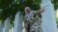 GRAB Bosnian Woman Buries Her Son's Skull At Srebrenica Memorial