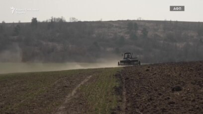 Војната во Украина - светот во криза со храна