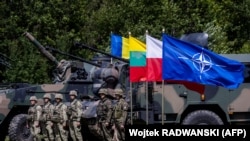 Сілы NATO ў Польшчы ў раёне Сувалак, ілюстрацыйнае фота